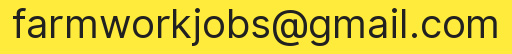 Email address