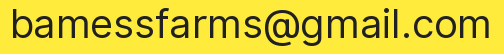 Email address