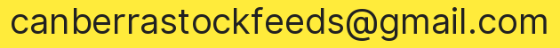 Email address