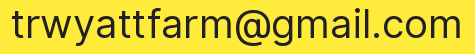 Email address