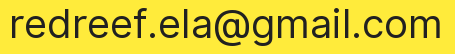 Email address